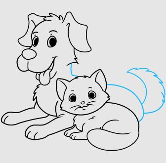 Draw Dog and A Cat