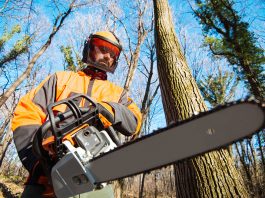 chainsaw course online 
