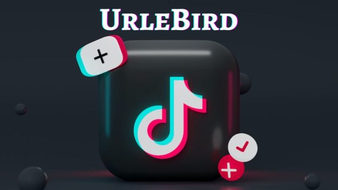 UrleBird