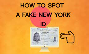 Fake ID Buying Guide for Beginners