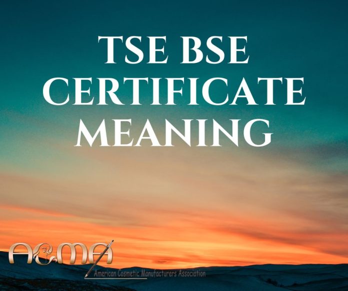 tse bse certificate meaning