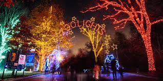christmas zoo lights