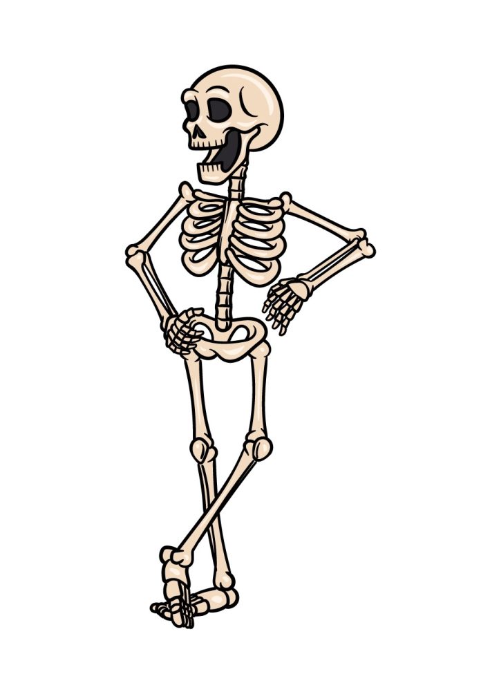 How to draw a cartoon skeleton