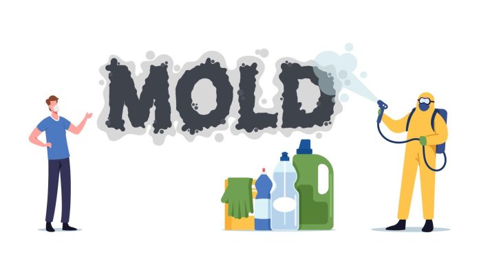 mold inspection services, mold inspector, mold spray, mold removal toronto, xtreme controls