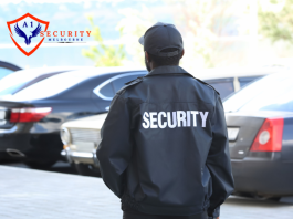 asset security and protection services