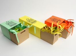 Sleeve Box Packaging