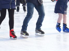 Skating Enthusiasts